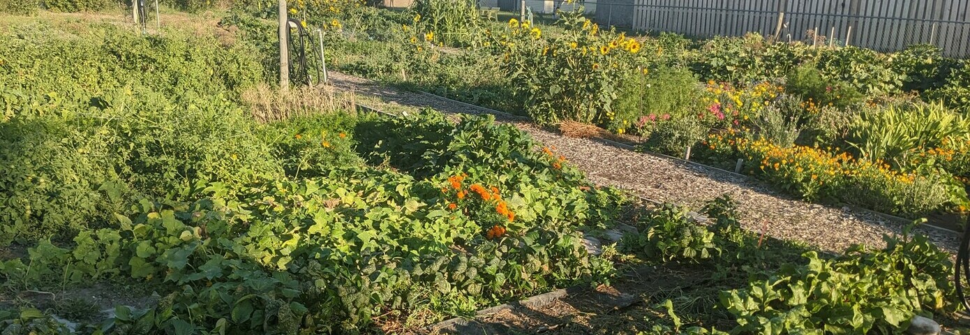 Community Gardens